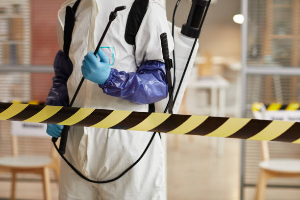 Professional Odor Removal technician working in Coloma, MI