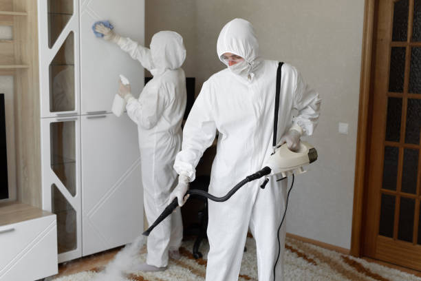 Trusted Sewage Cleanup service in Coloma, MI - Four Month Blood Cleanse
